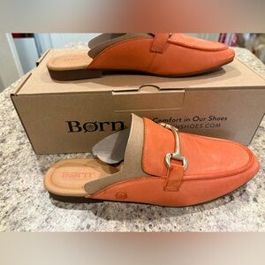 Brand New in Box Born Lareina Mule 🧡 size 9